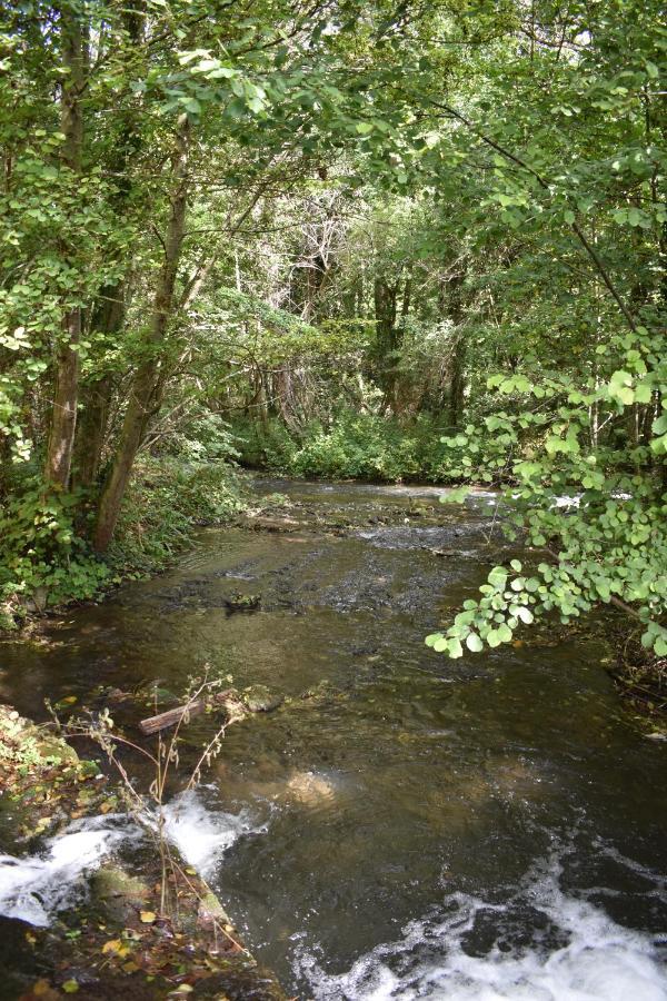 Le Moulin,19 Bis Rue De Beaudon, 45330 Augerville La Riviere Trezan Exteriör bild